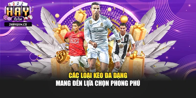 Các loại kèo đa dạng mang đến lựa chọn phong phú
