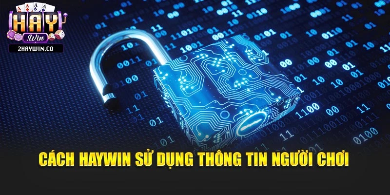 Cách Haywin sử dụng thông tin người chơi