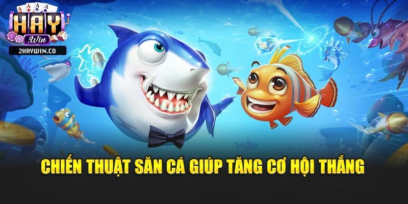 Chiến thuật săn cá giúp tăng cơ hội thắng