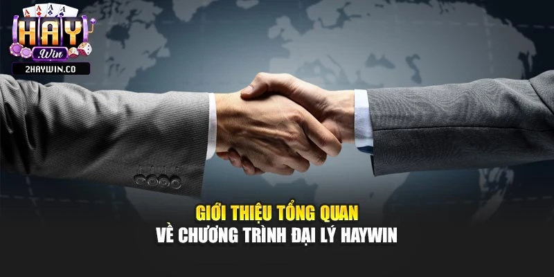 Giới thiệu tổng quan về chương trình đại lý Haywin