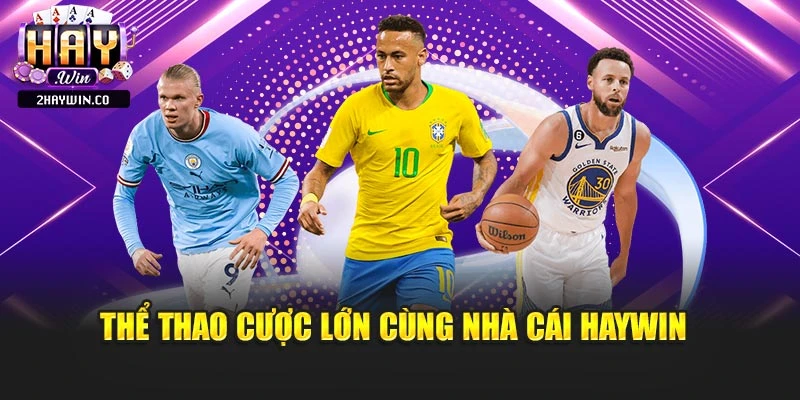 Thể thao cược lớn cùng nhà cái Haywin