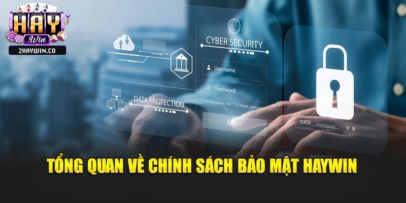 Tổng quan về chính sách bảo mật Haywin