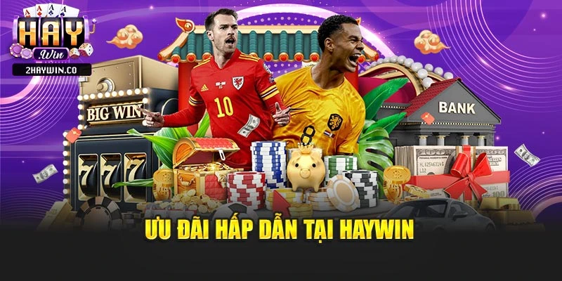Ưu đãi hấp dẫn tại haywin